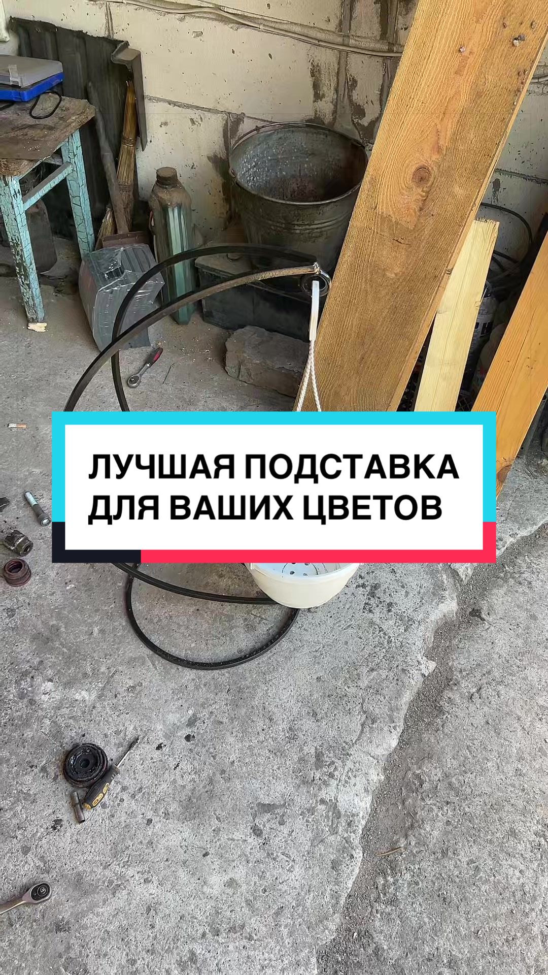 @laifhak_mozgi