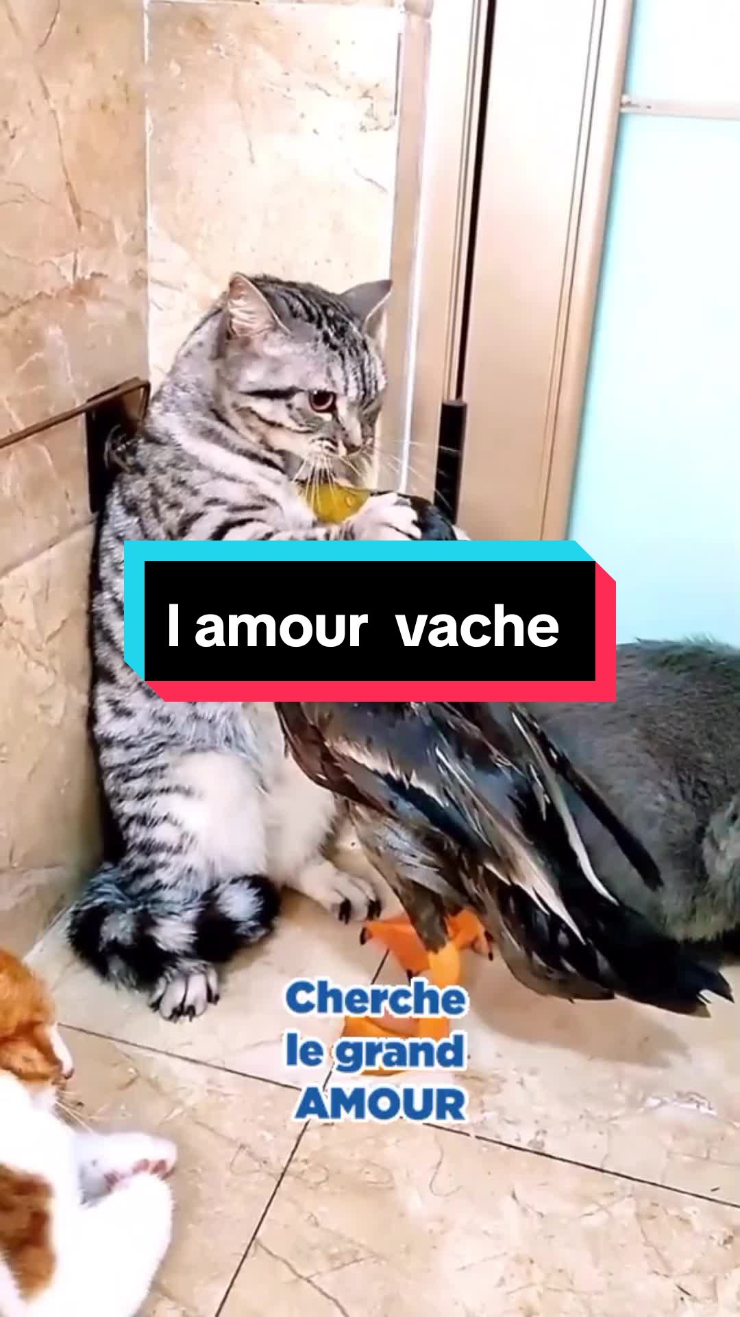 @𝑺𝒕𝒆𝒑𝒉 ✨