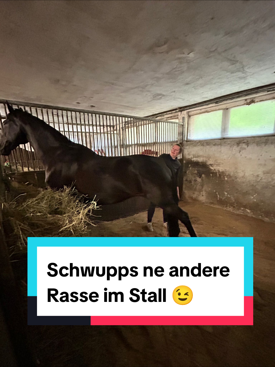 @Melanie Fischer