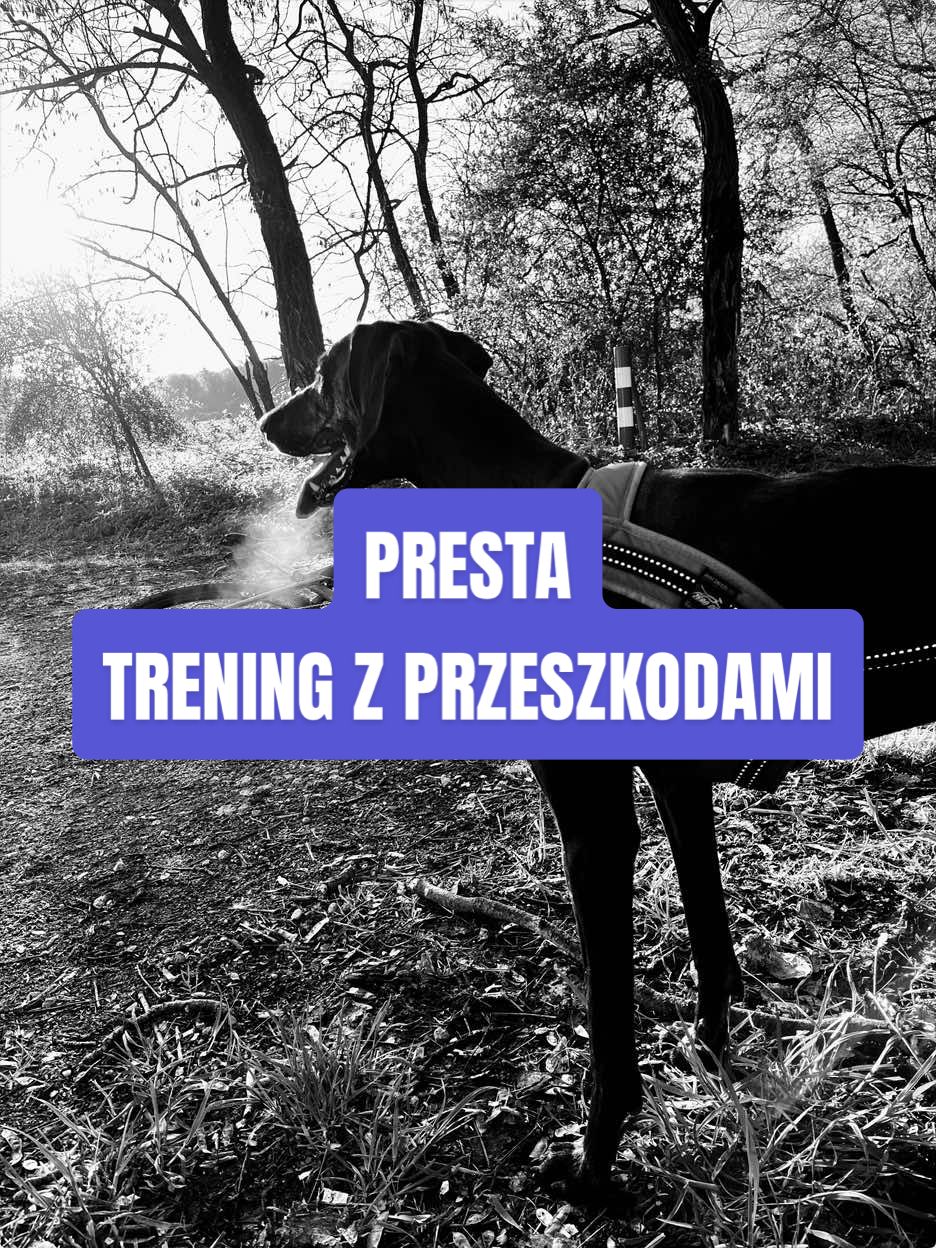 @Agnieszka Ignaszak bikejoring