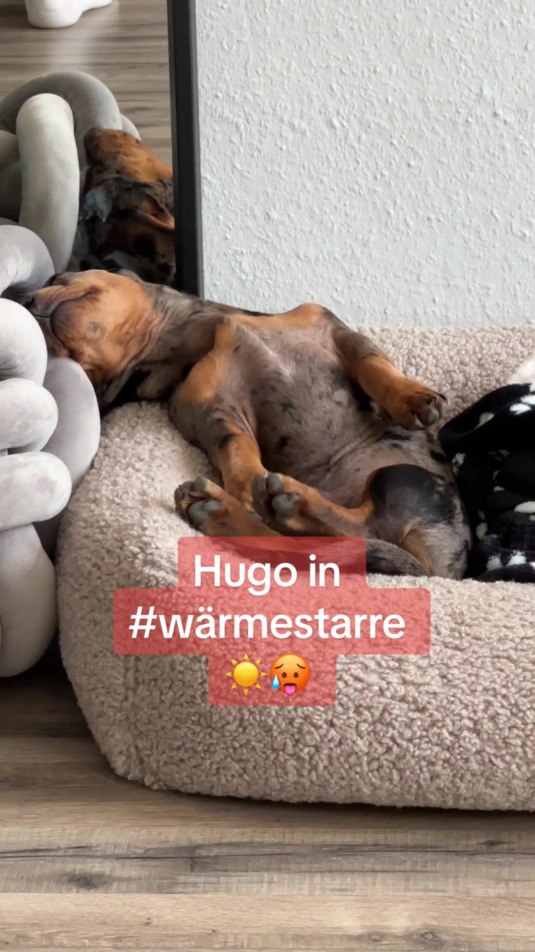 @Hugo