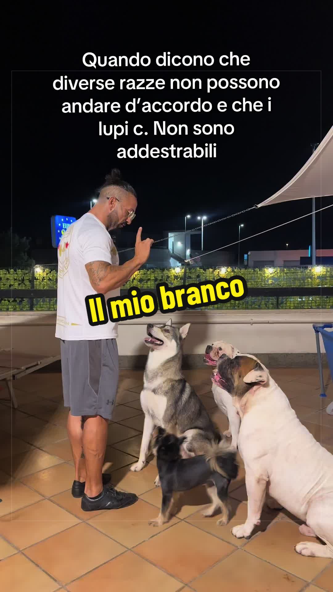 @AGO-AGOZZINO ALFREDO OFFICIAL
