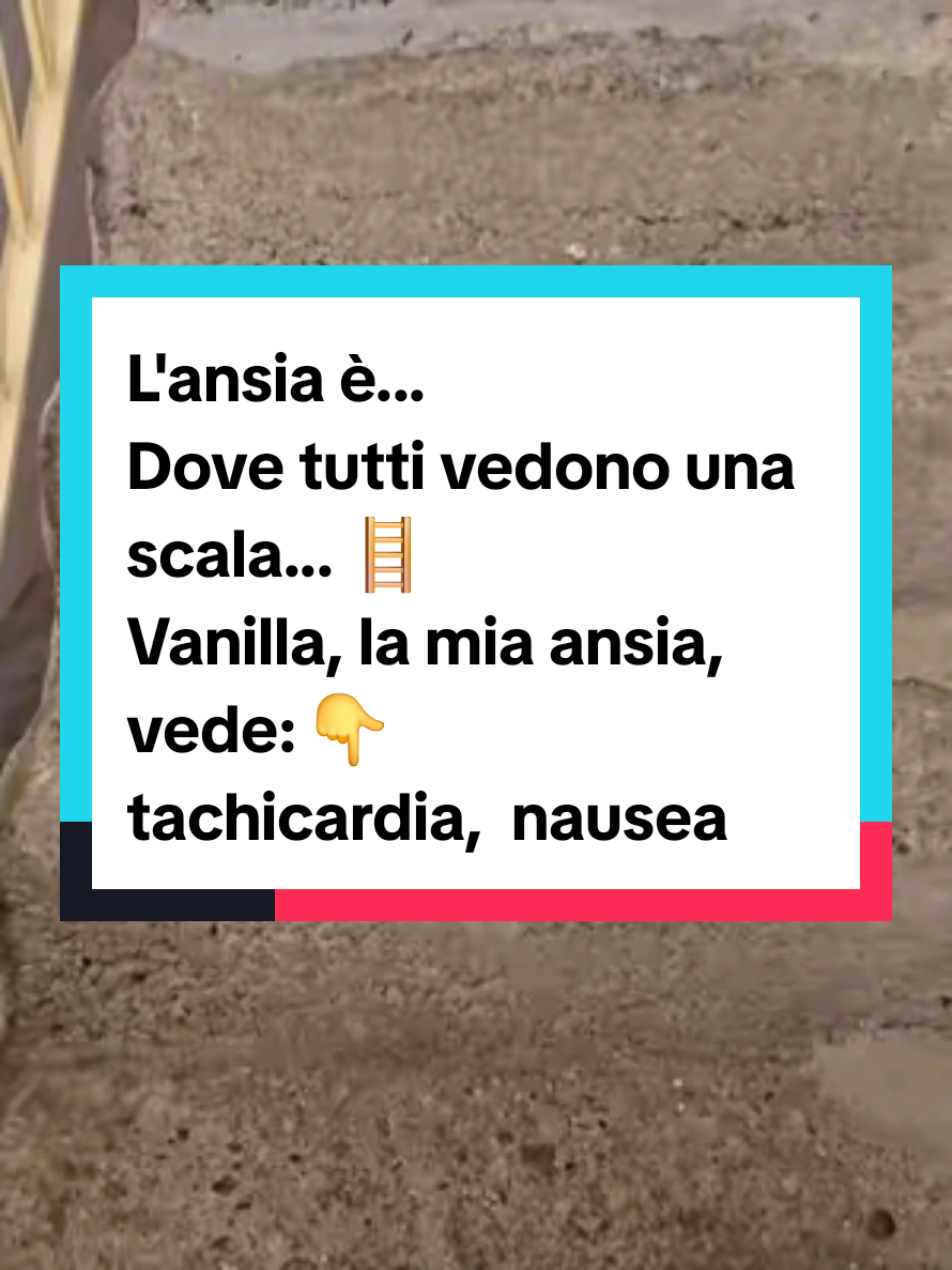@l'amante del collagene onesta❤