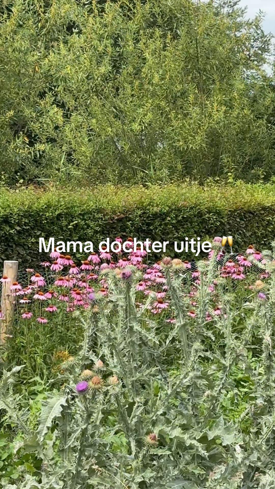 @Isabel Heijtlager ๐ฑ๐ผโ๏ธ