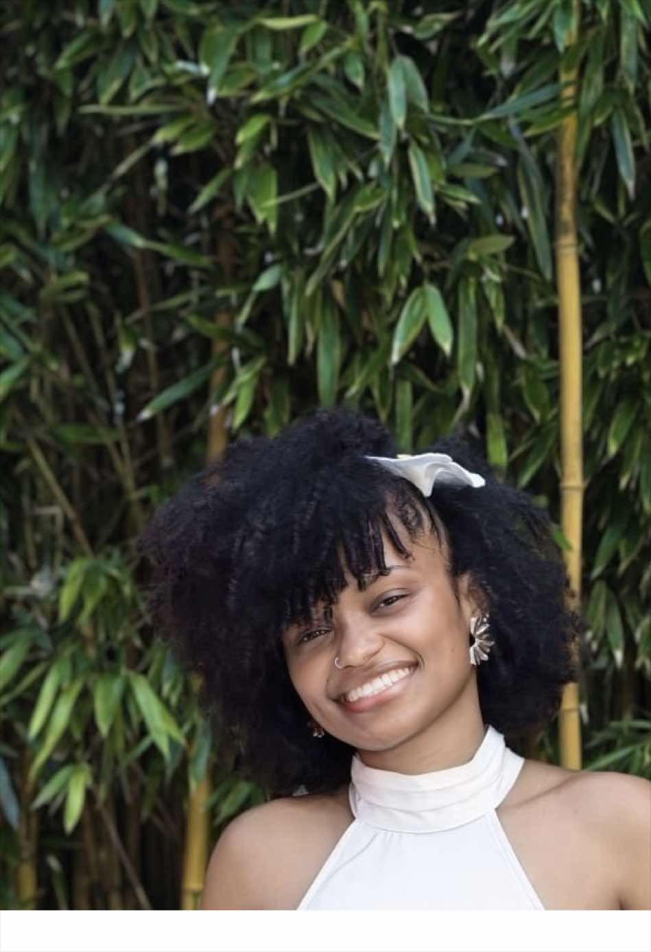 @ELEHONOR✨