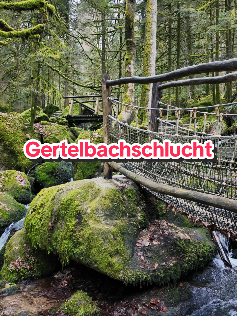 @Am Puls der Natur