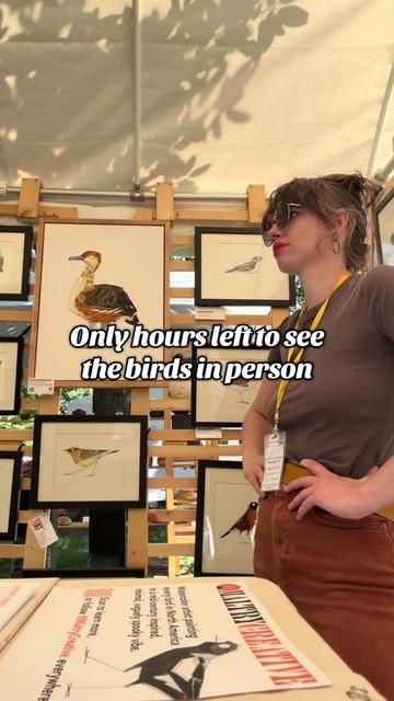 @Maltry Creative - bird art