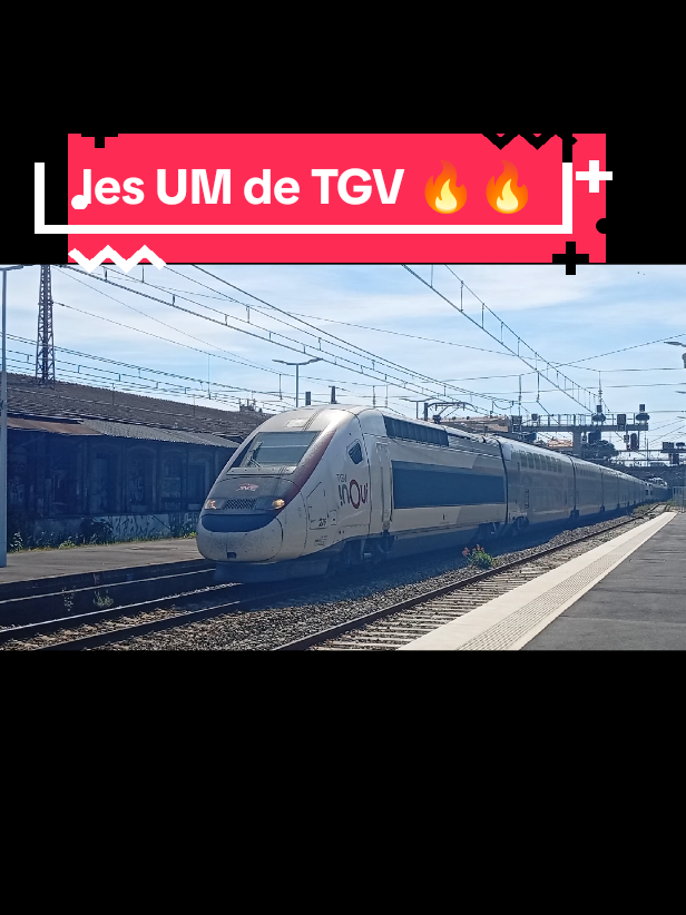 @Le spoteur du 11