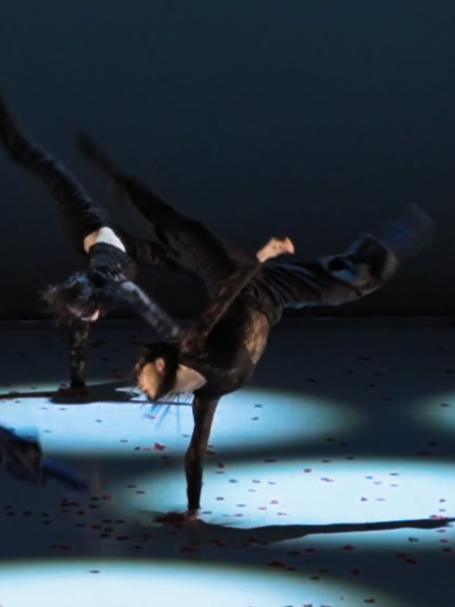 @dancer