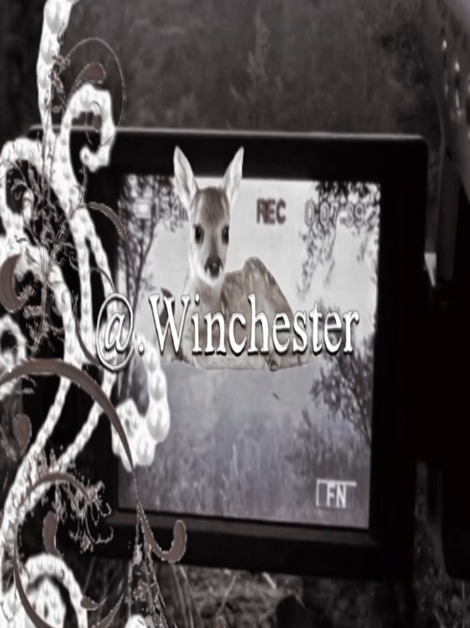@𝜗𝜚 ࣪˖ ִ𐙚 𝑀𝓎𝓇𝓇𝒽𝒾𝑒𝓁 ✪