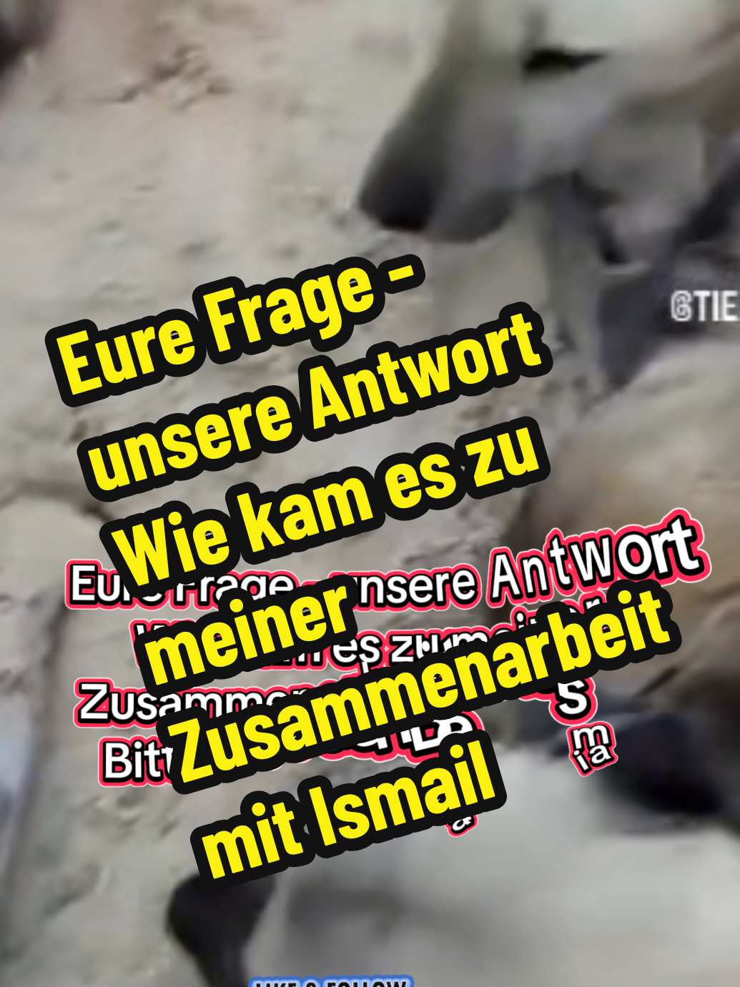 @TSV Candostlari-Beste Freunde