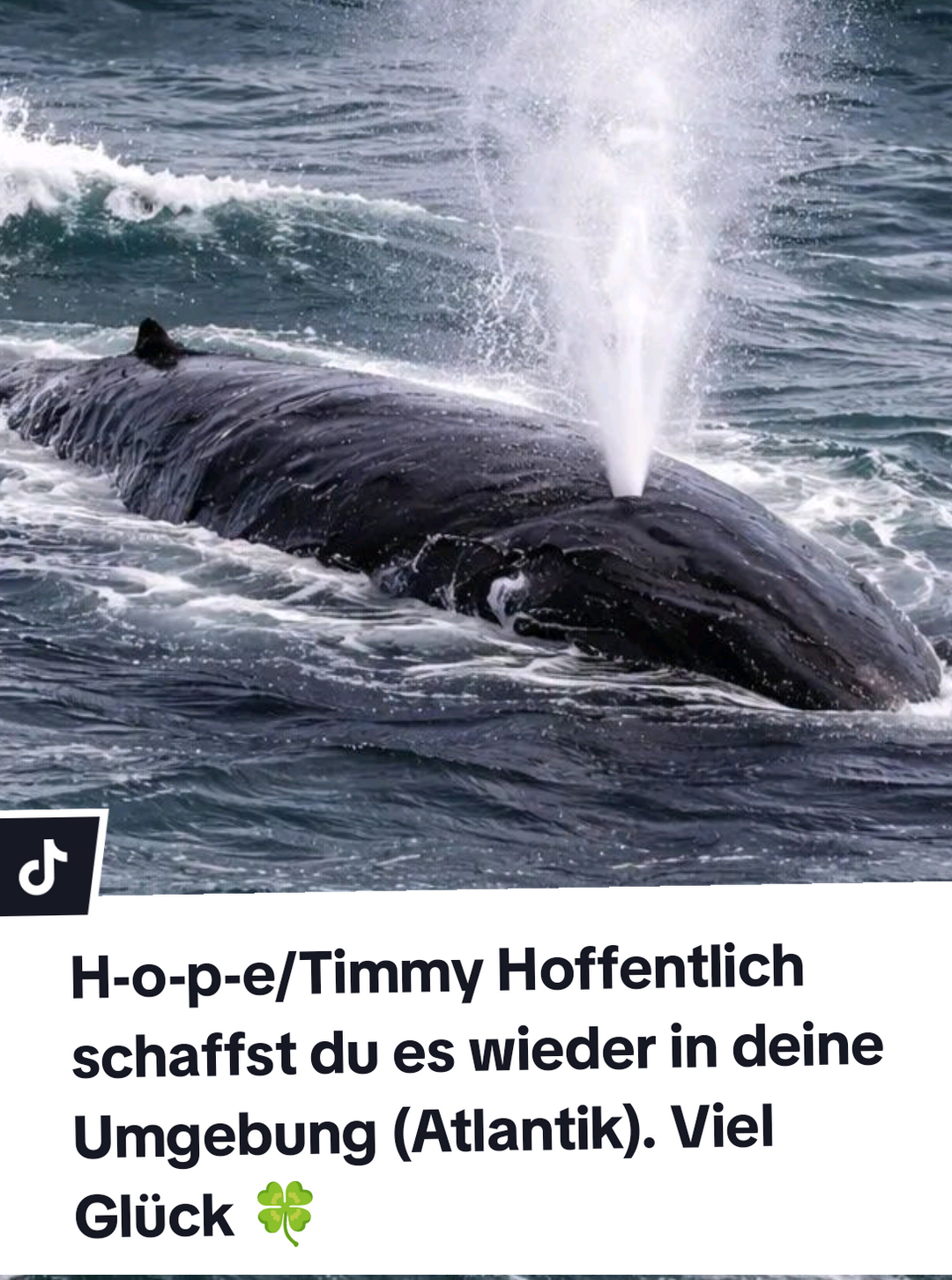 @๐ฆ๐ถö๐๐๐ ๐๐๐ ๐ทö๐๐๐๐ฆ