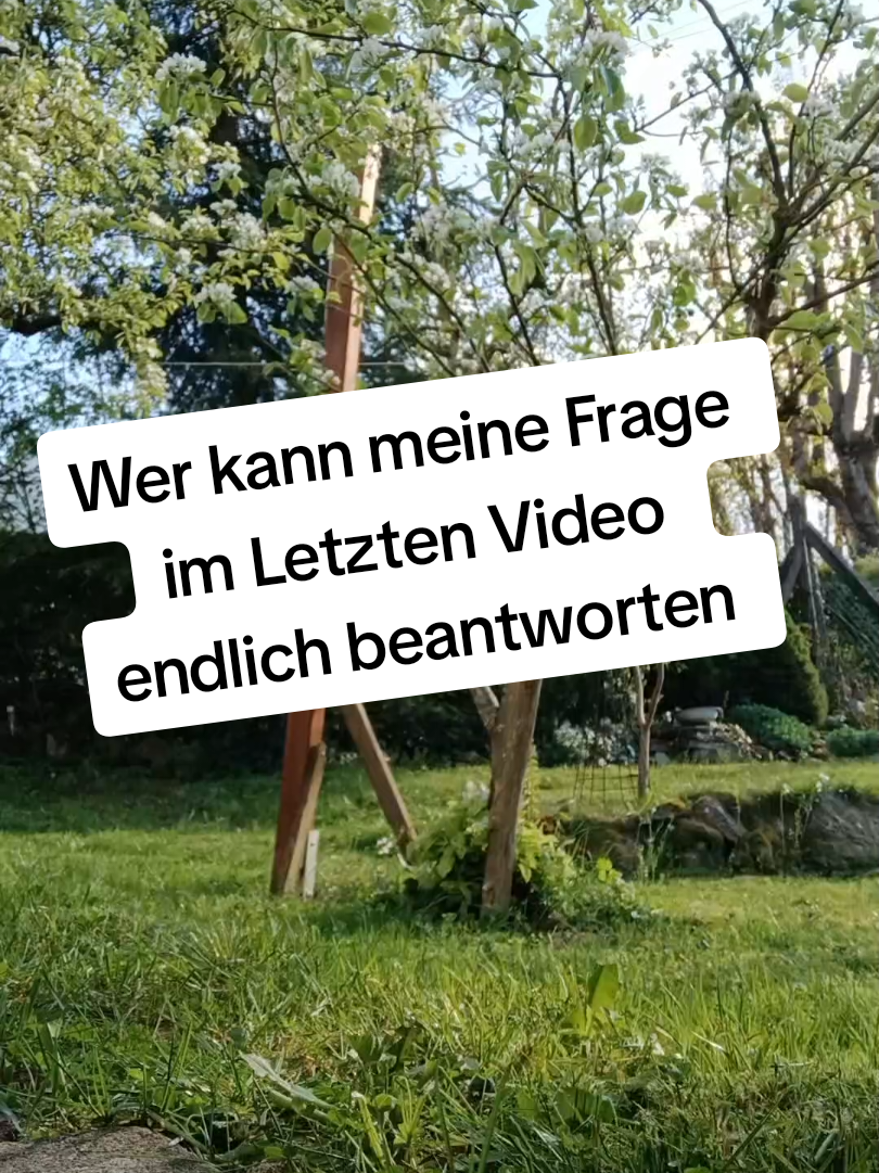 @🔨🔩🏞Fritzelfred125🤯