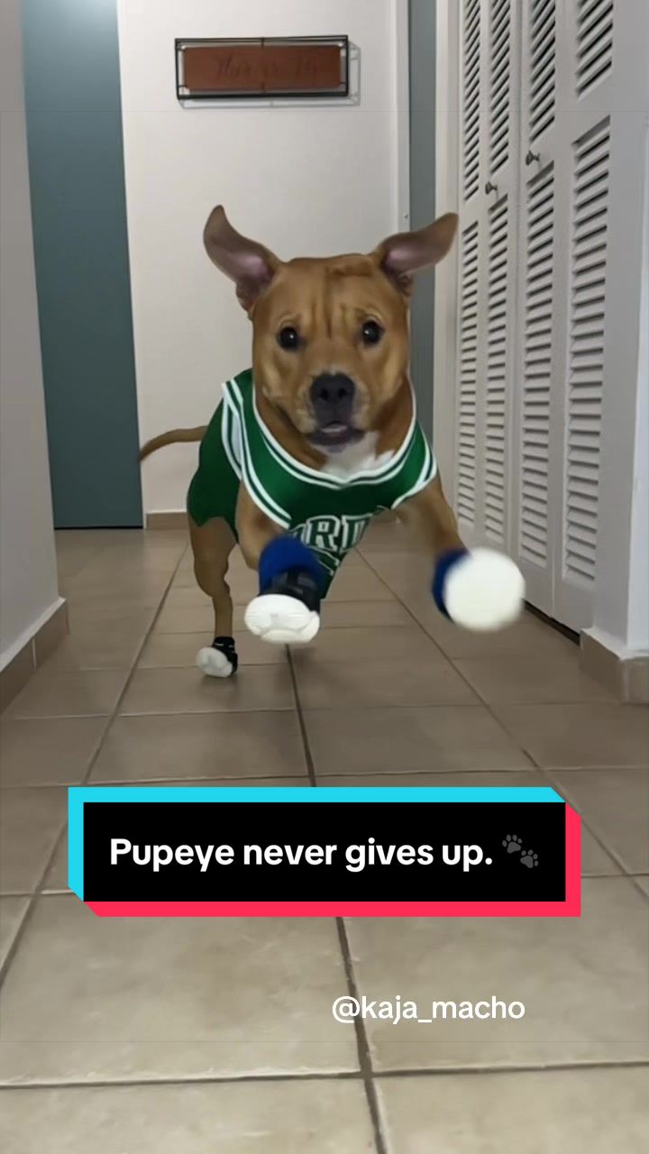 @Kaja & Macho 🥰