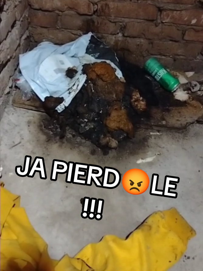@wigoserwistv