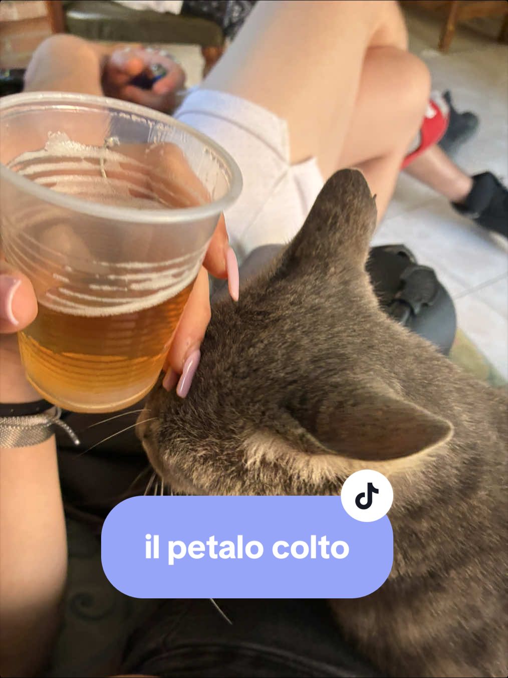 @𝐴𝑟𝑦