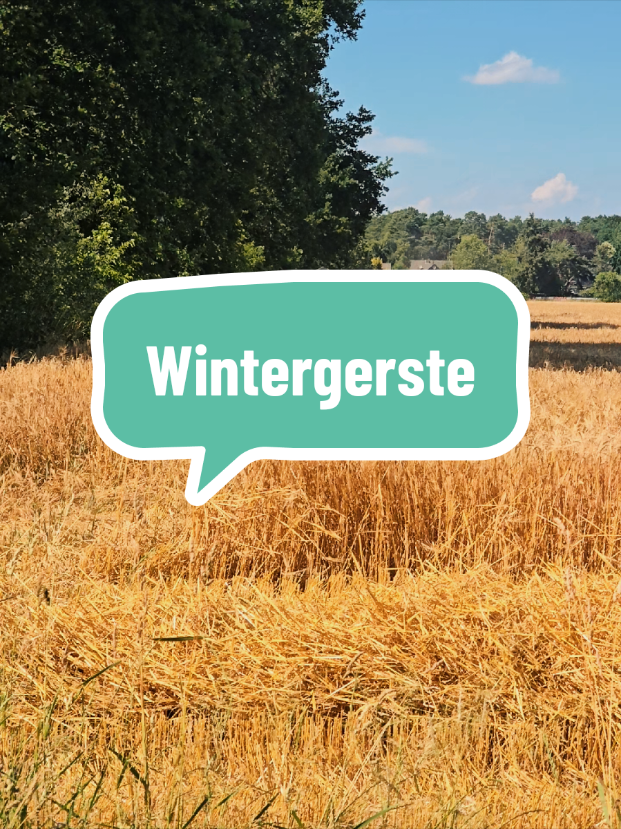 @Kuhflüsterin_aus_Leidenschaft