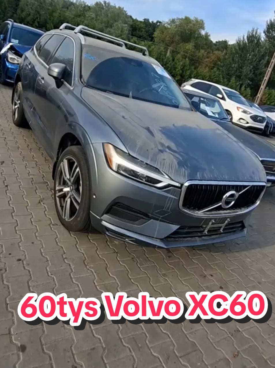 @Marcinzmotoleader