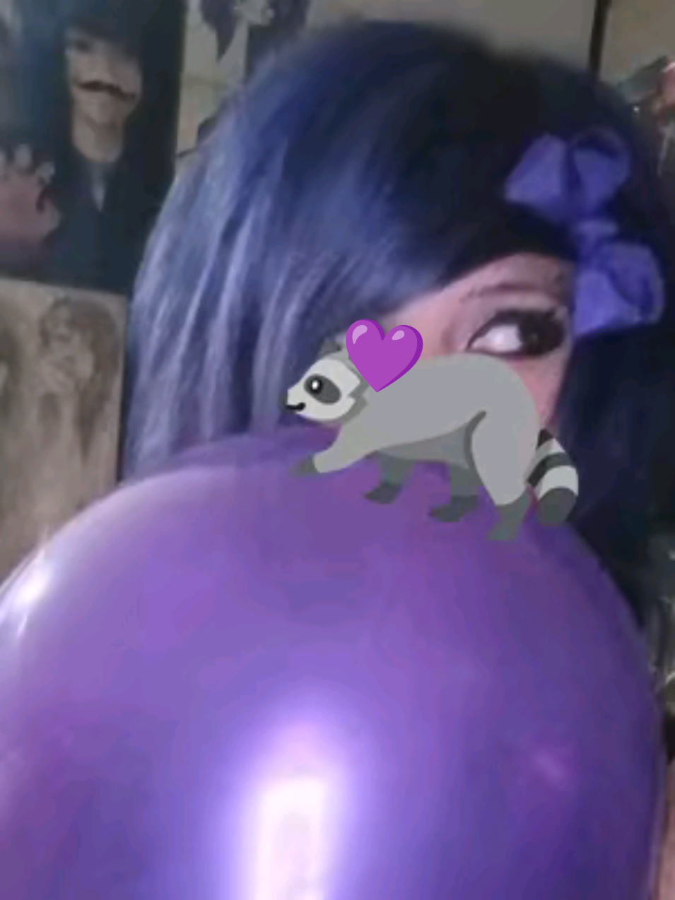 @💜𝕷𝖎𝖛𝖘 𝕽𝖆𝖈𝖈𝖔𝖔𝖓𝖘🦝
