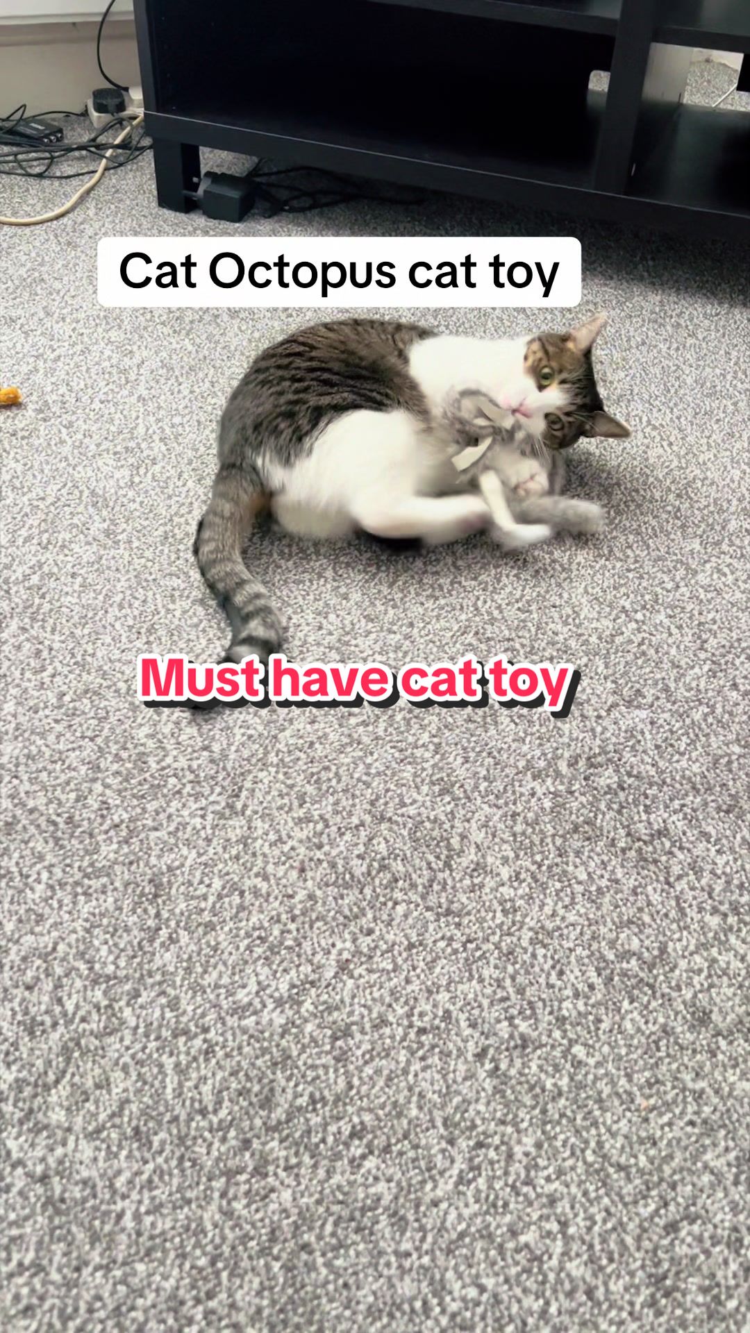 @🦁💚Mehnaz/Bella cat💚🦁