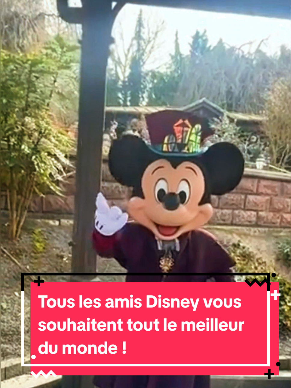 @Disneyparcs Hervé