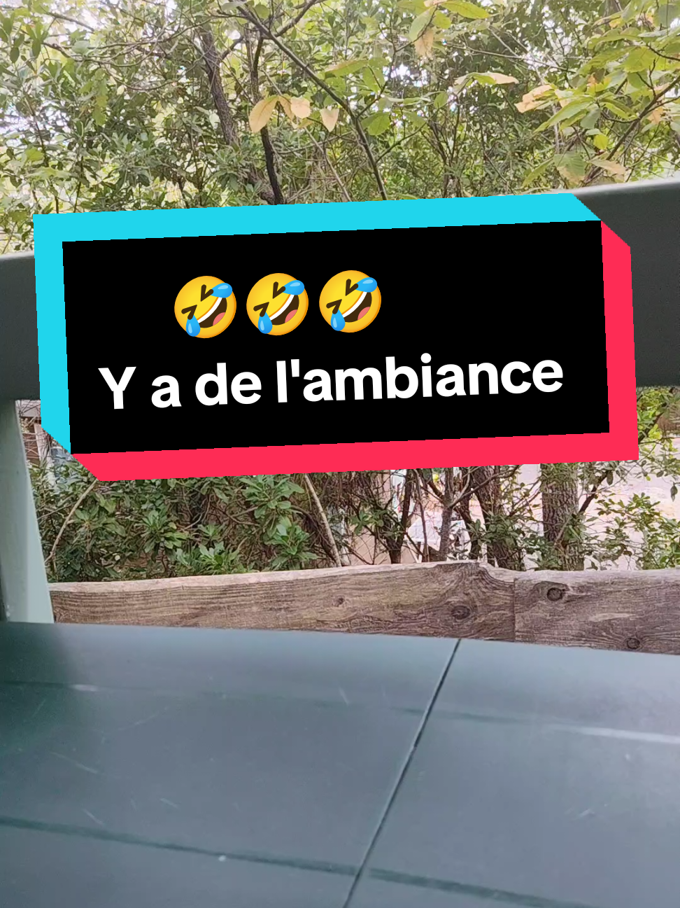 @B&eacute;atrice B