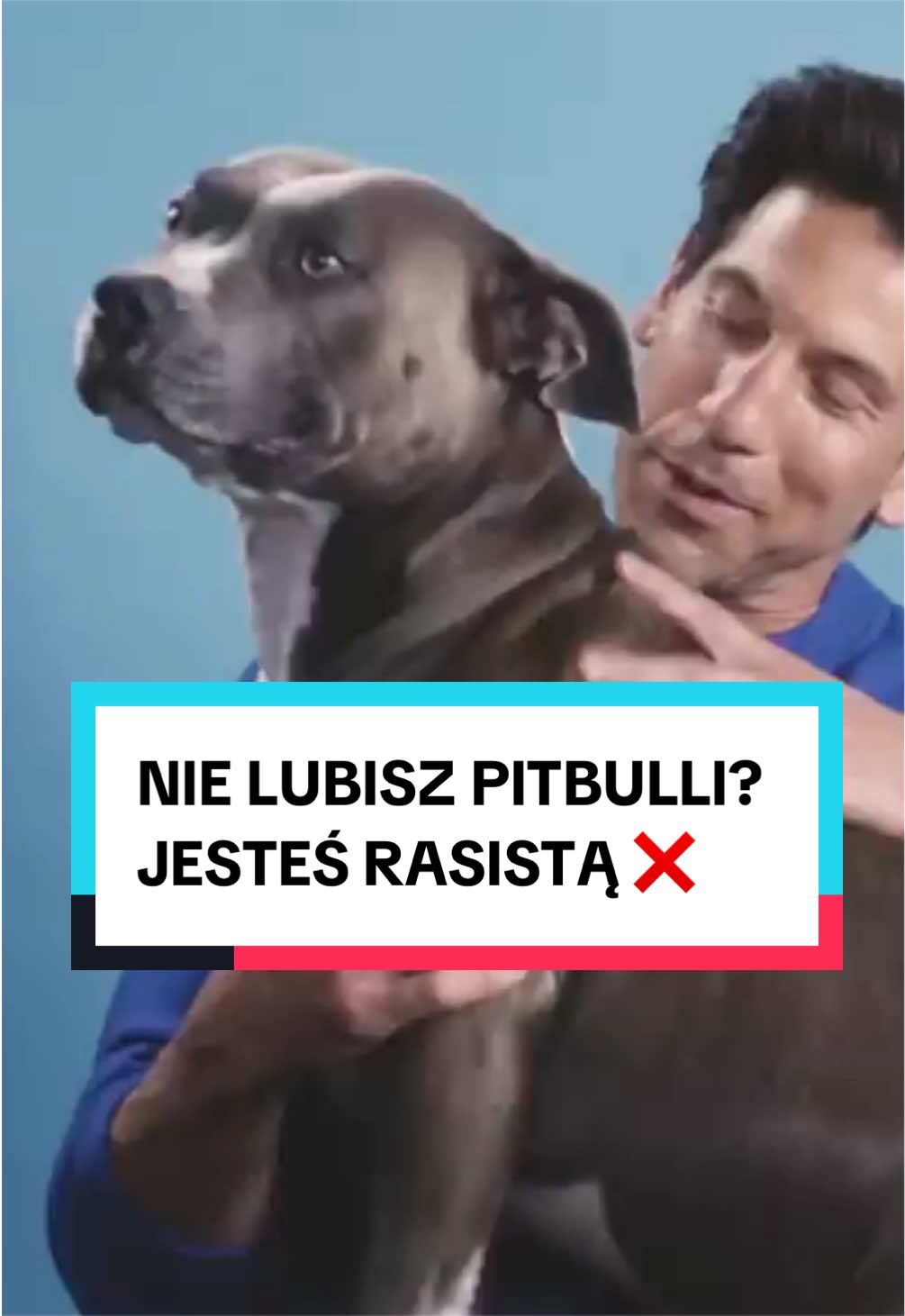 @pandawojtekyt