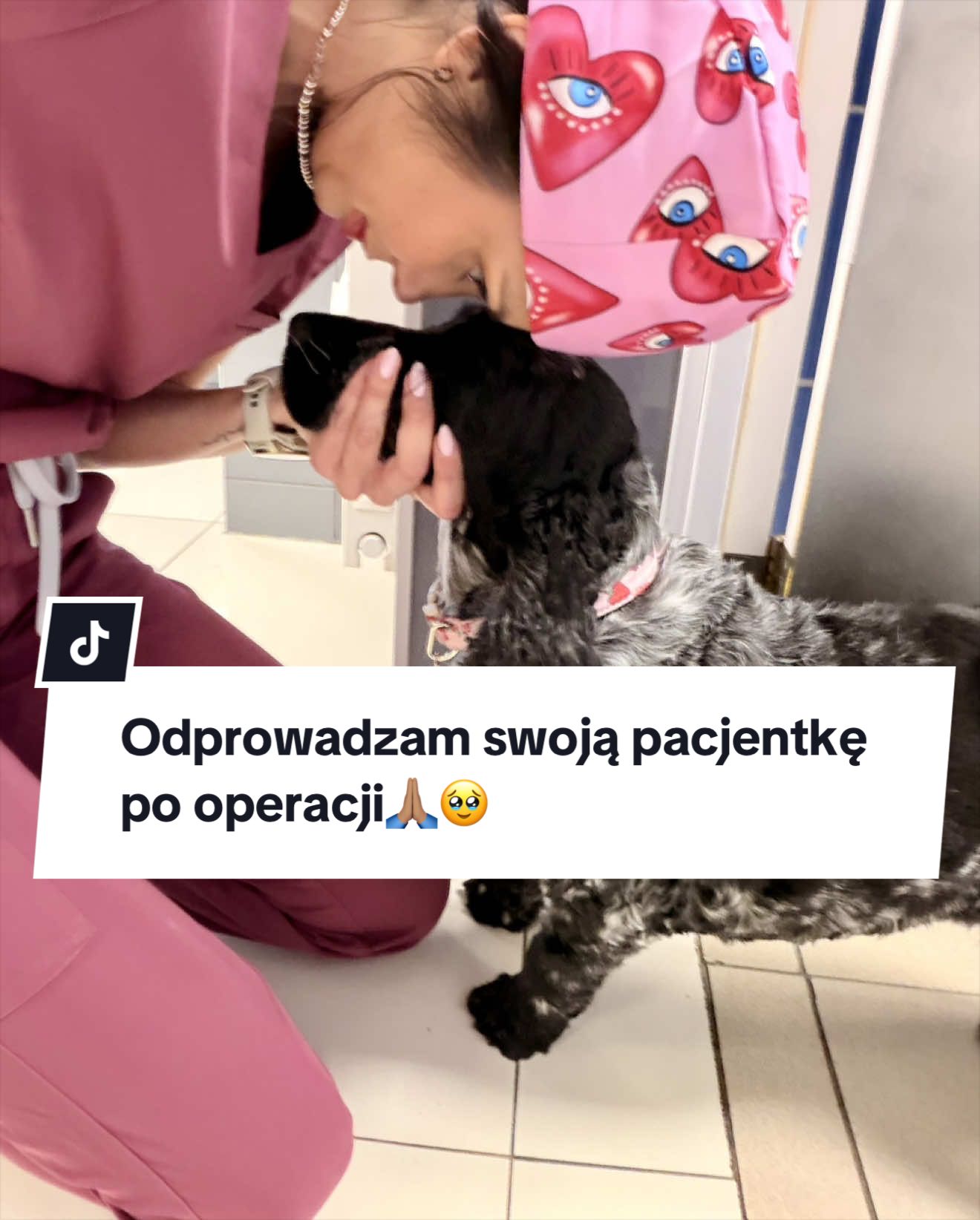 @okulistavet
