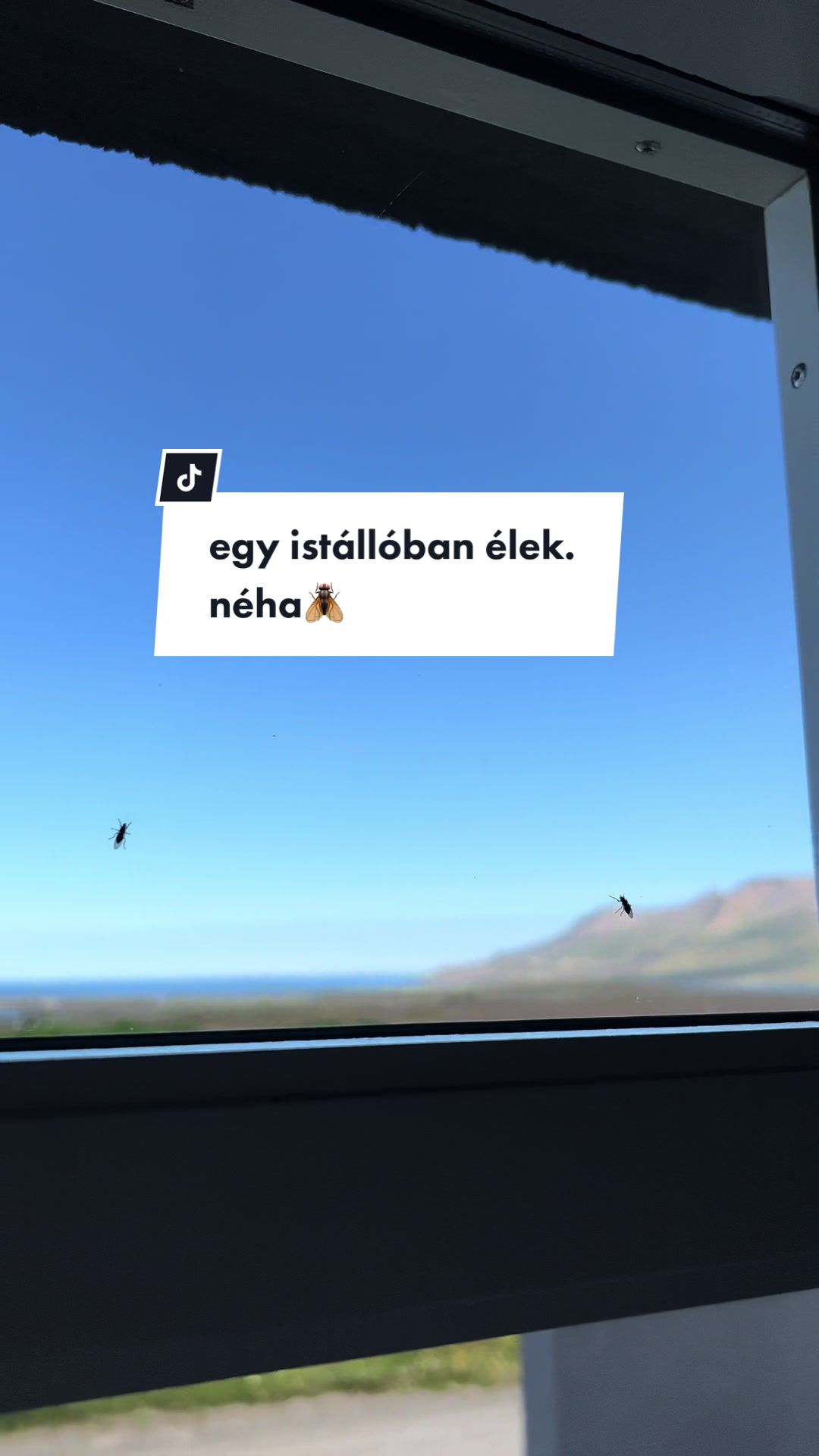 @Leé Andi