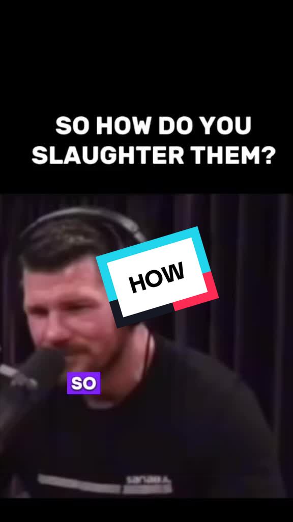 @vegandesign