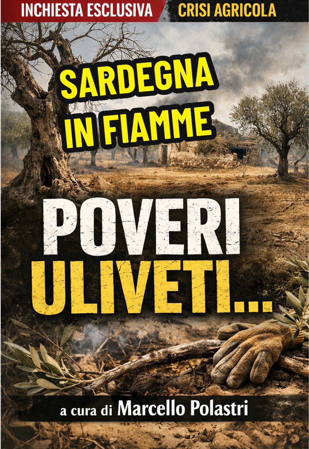 @Marcello Polastri