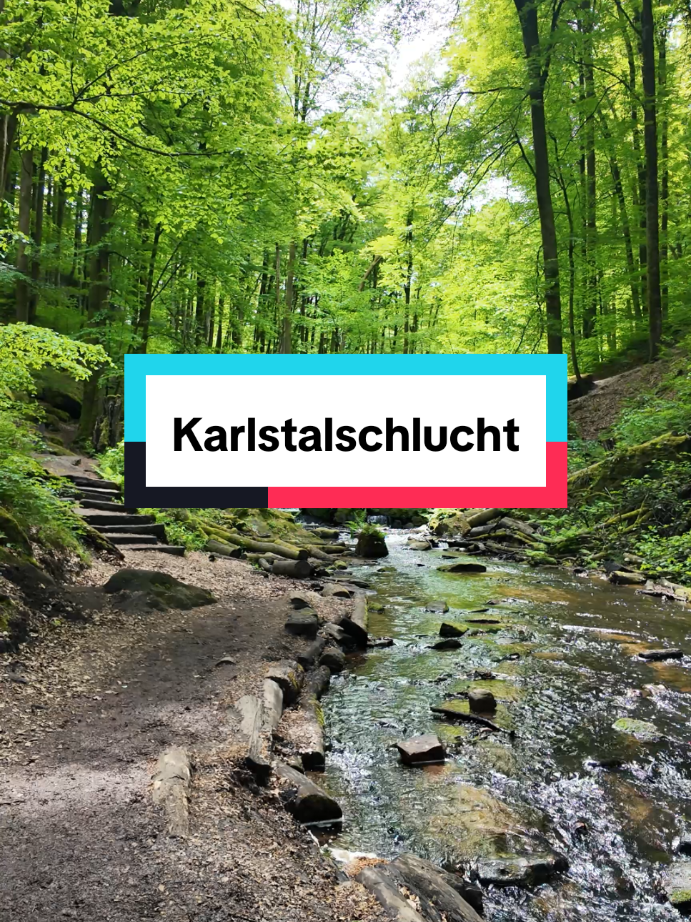 @Am Puls der Natur