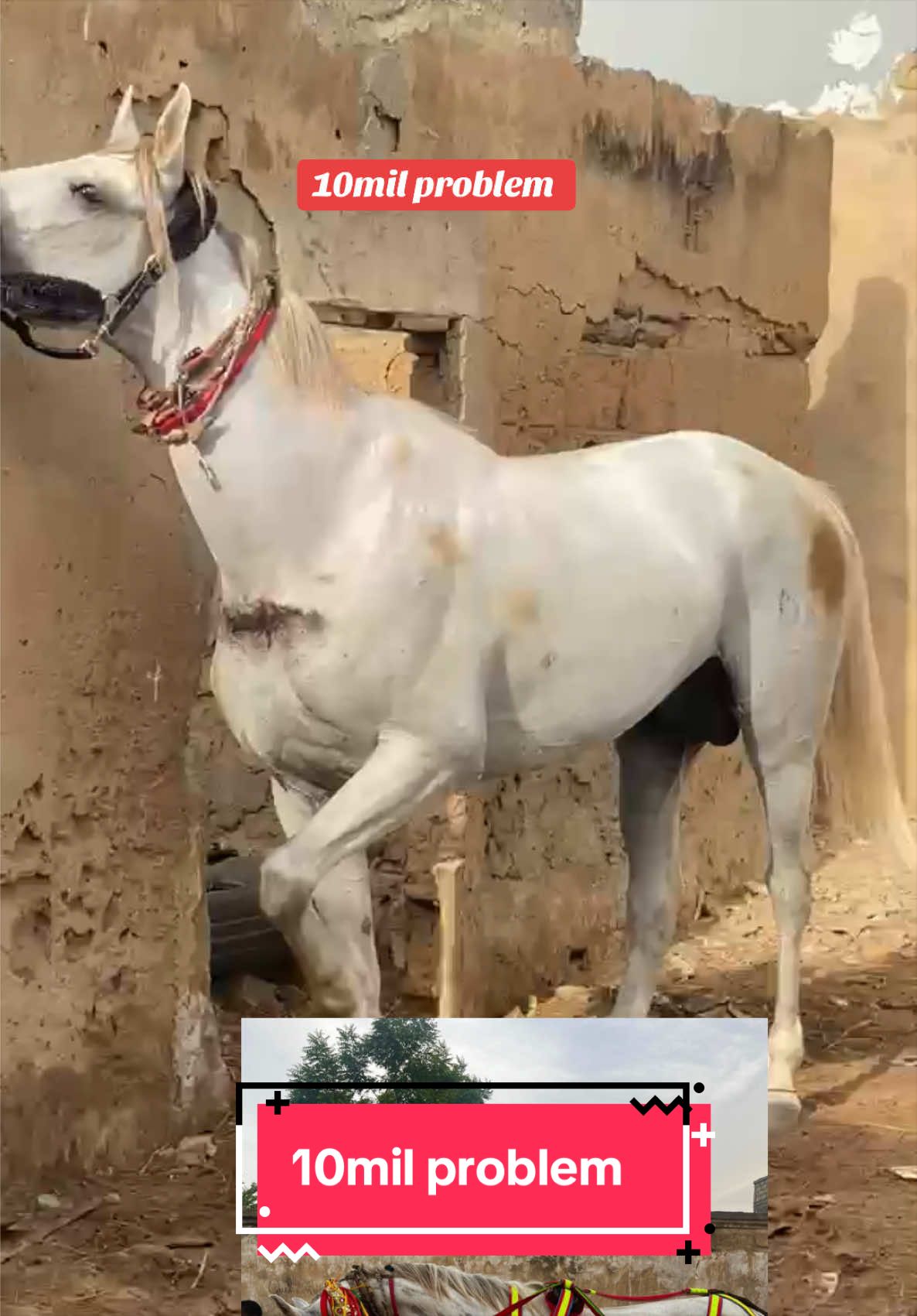 @10milproblem