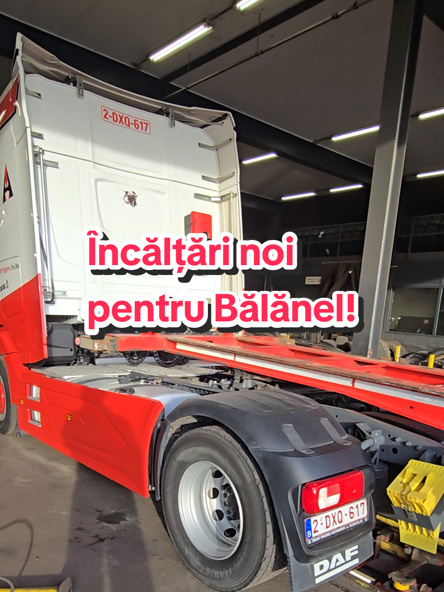 @Adrian(Micuțul)Moraru