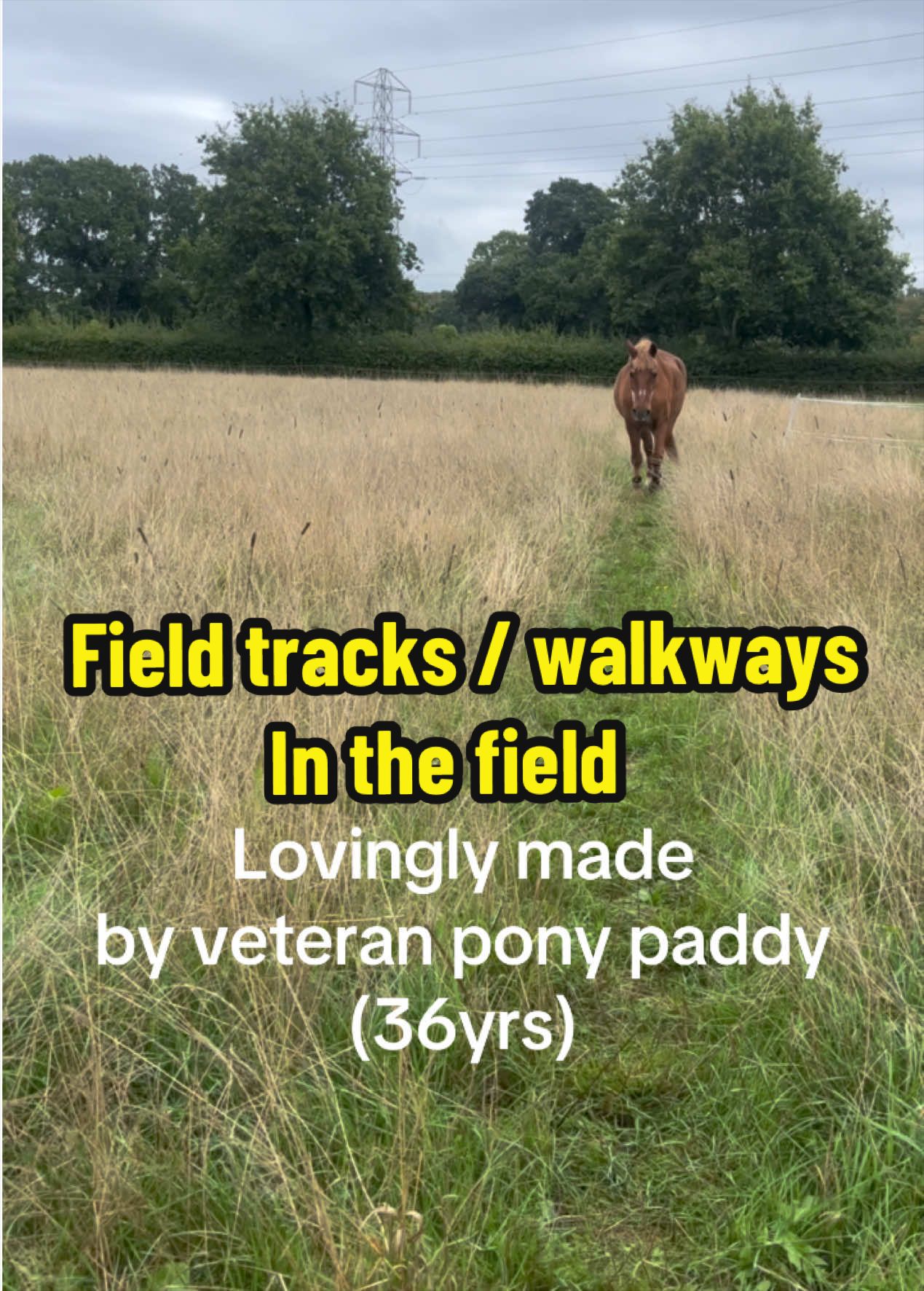 @Becky Evans444