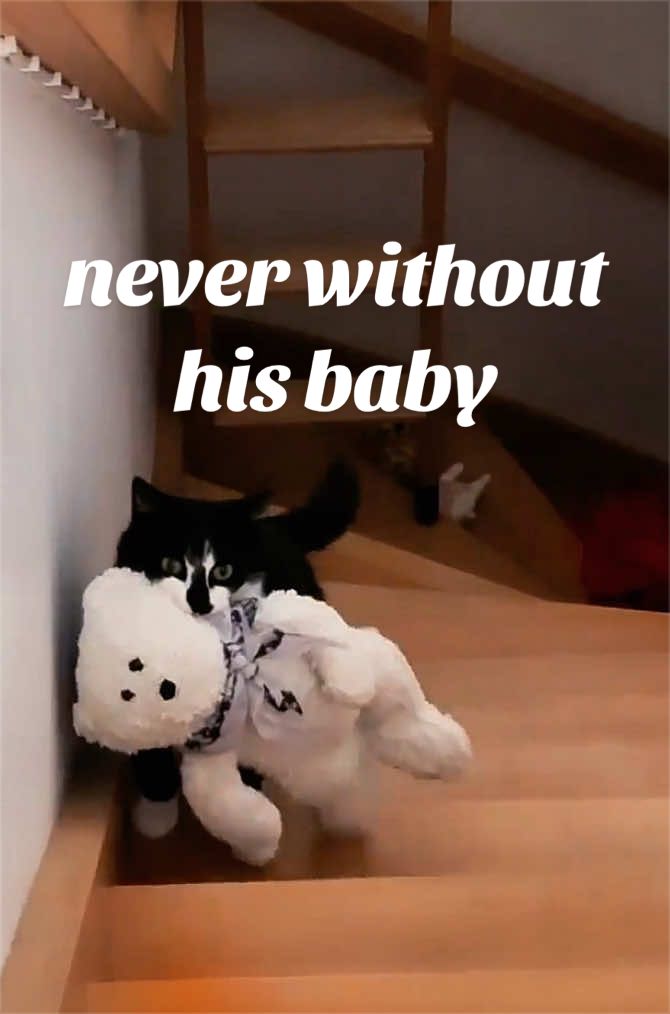 @leaafcqr