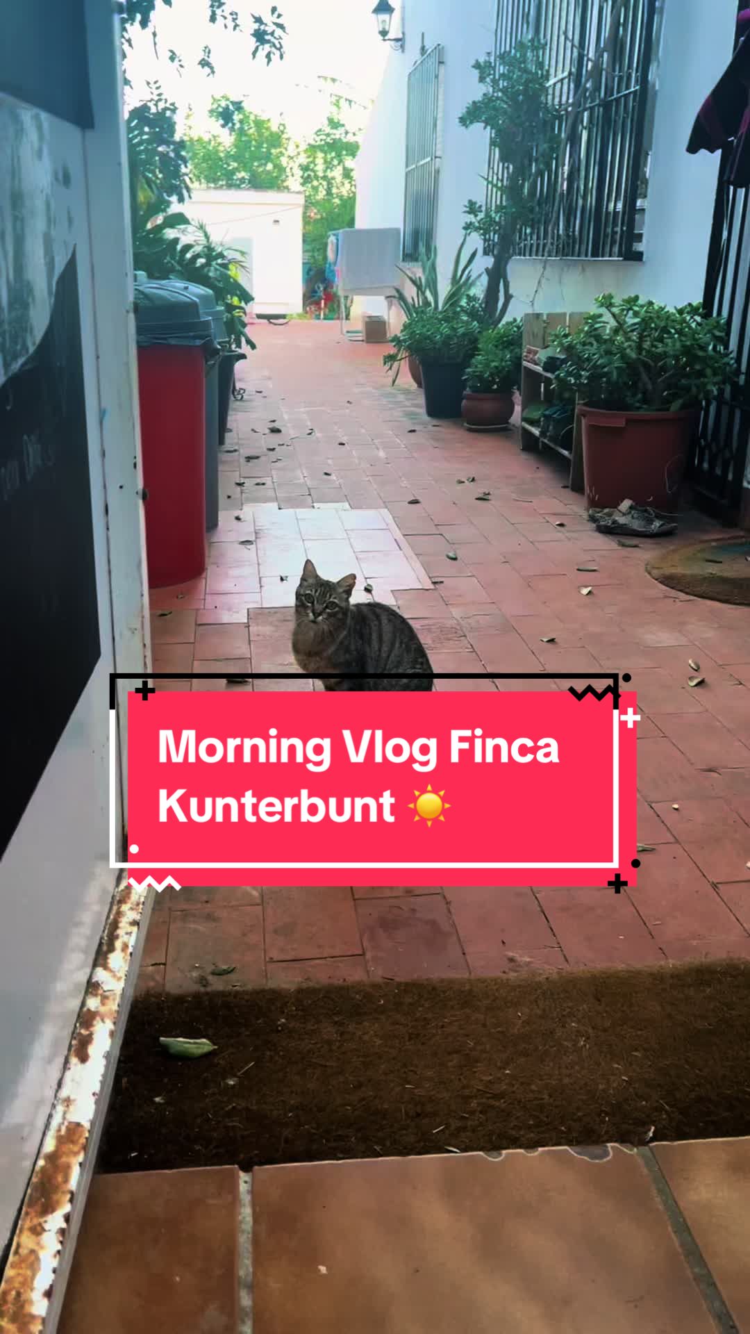 @FincaKunterbunt