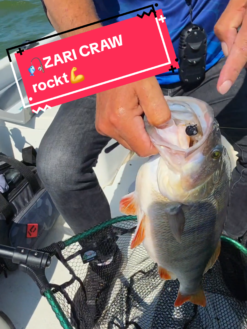 @Iron Claw_Fishing