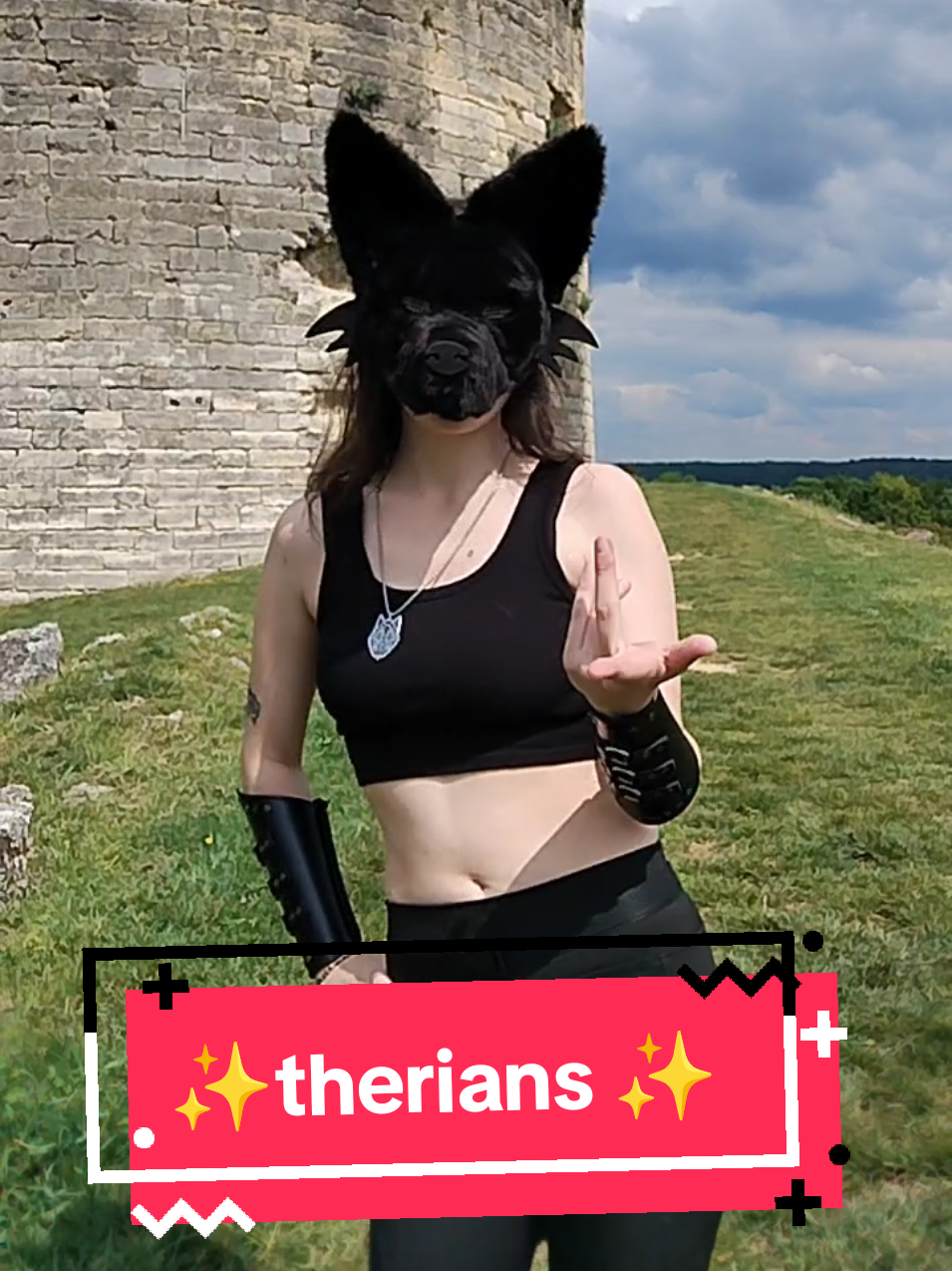 @🐺blackwolf.and.calicocat😺