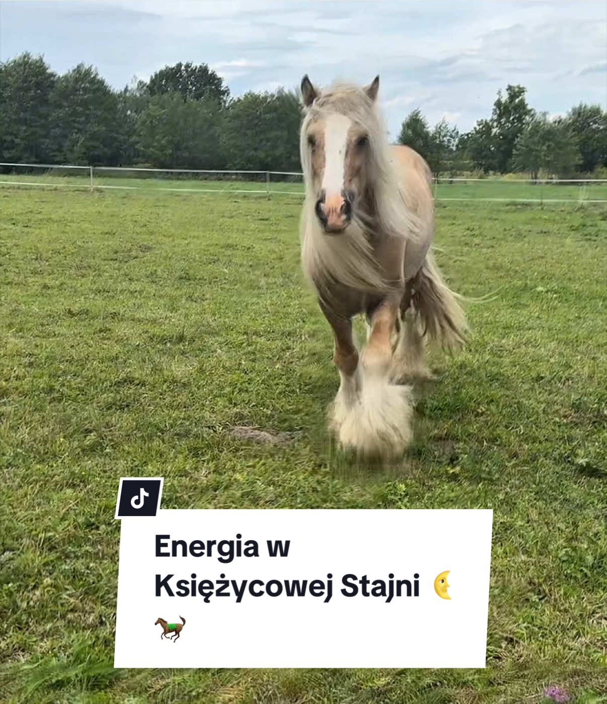 @KsiężycowaStajnia.VulkaDollArt