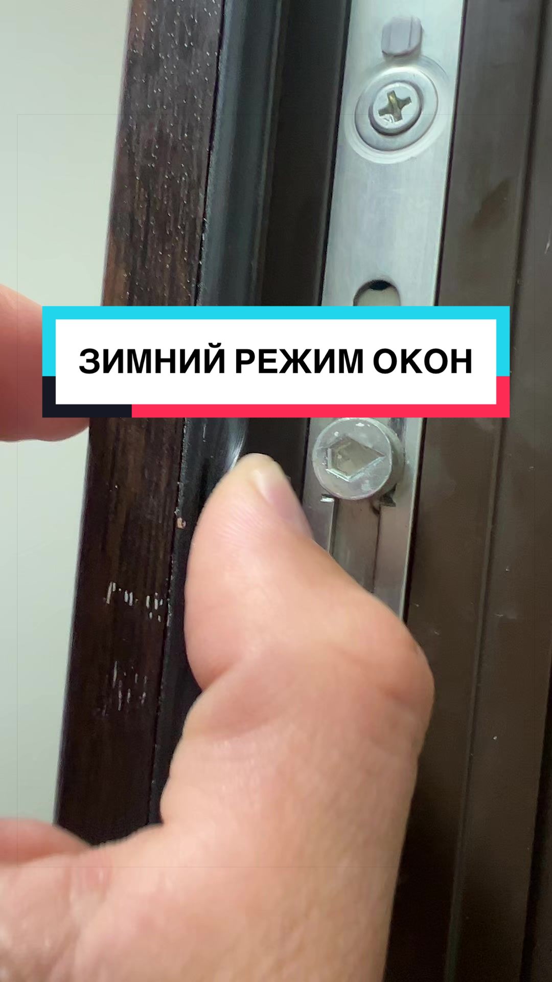@laifhak_mozgi