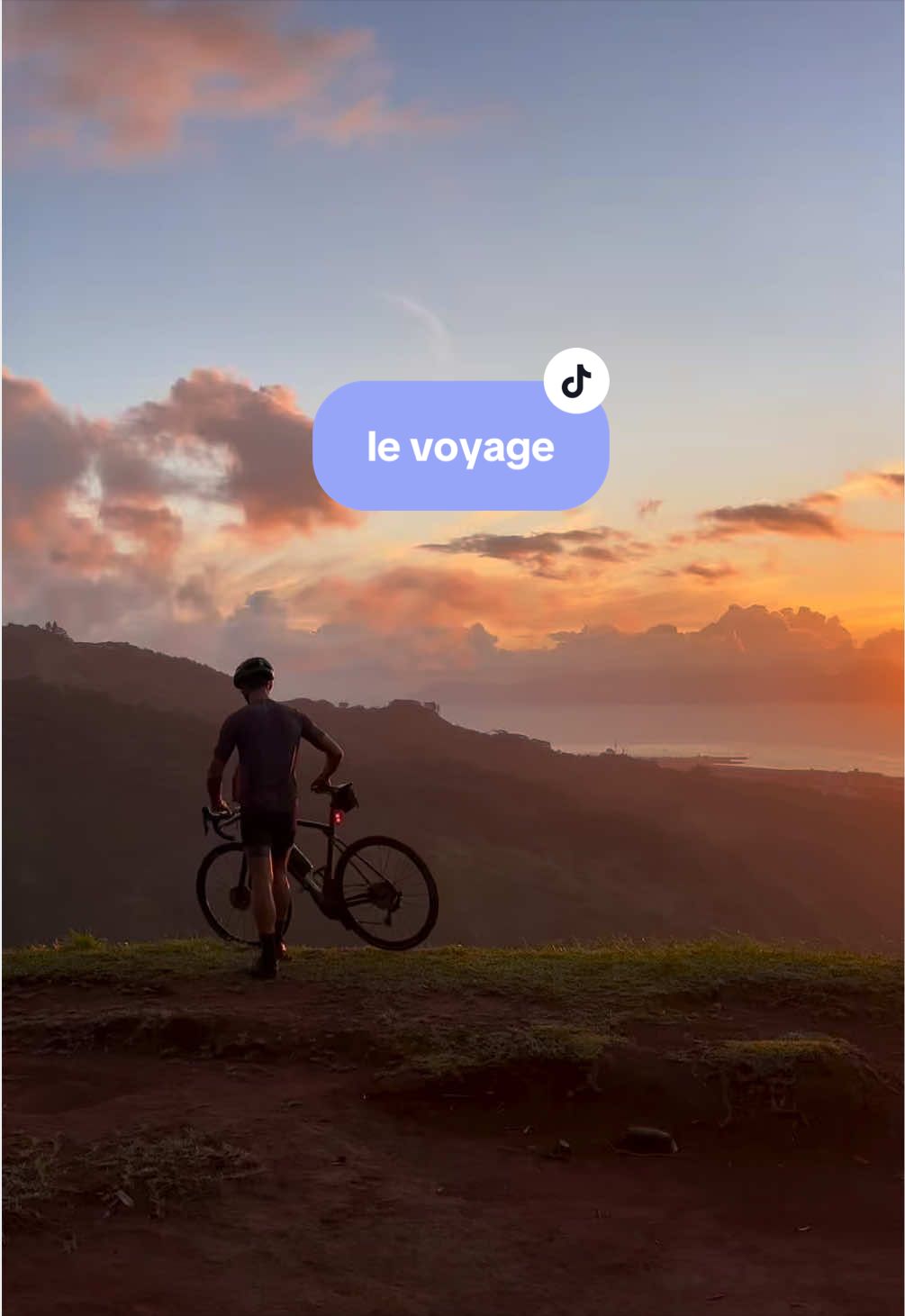 @aly✨