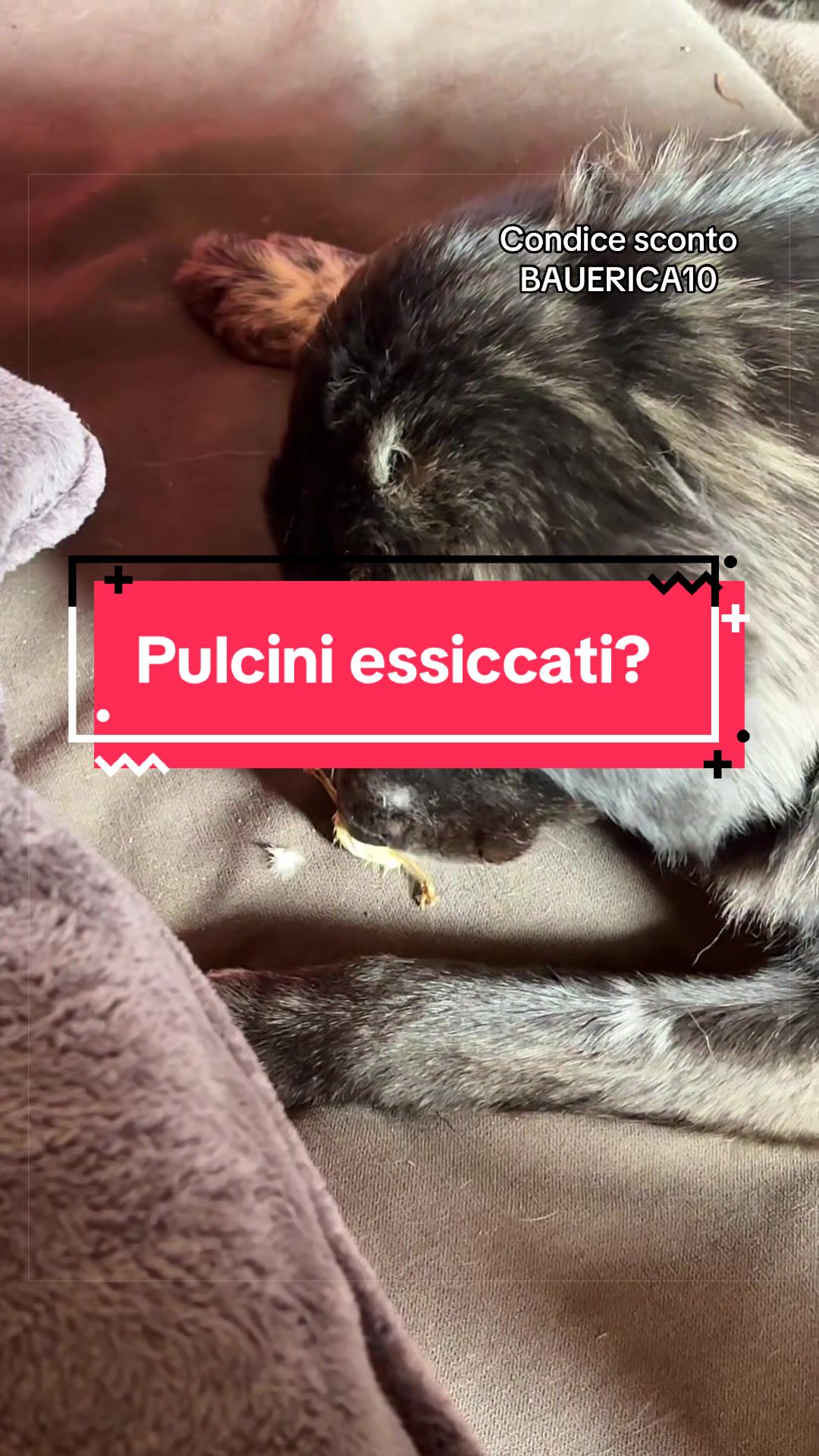 @Erica&3Zampe🐾