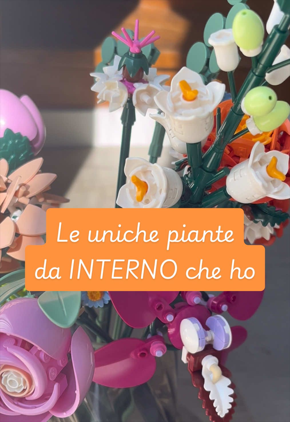 @piccole.spine.felici 🌵