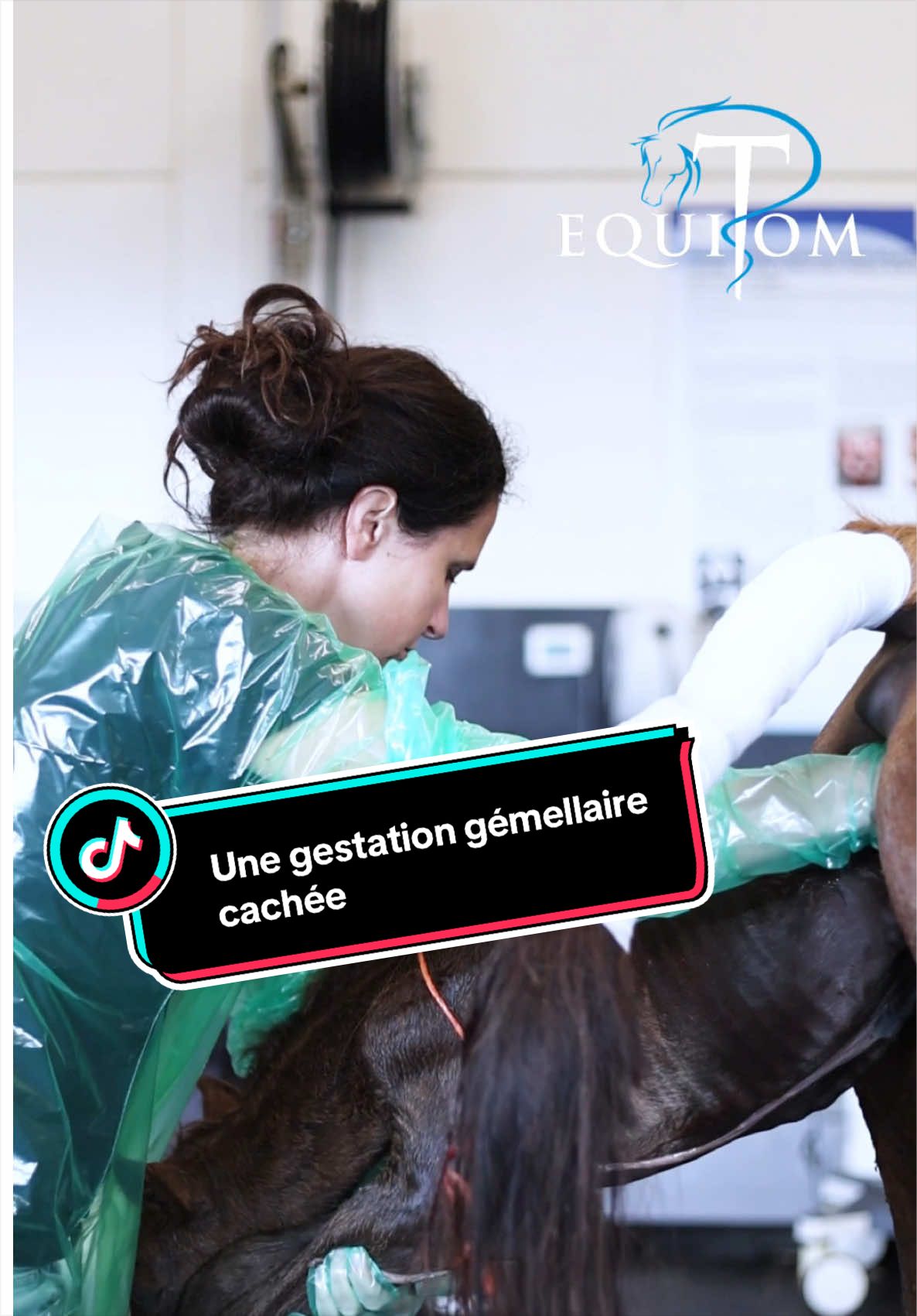 @Equitom