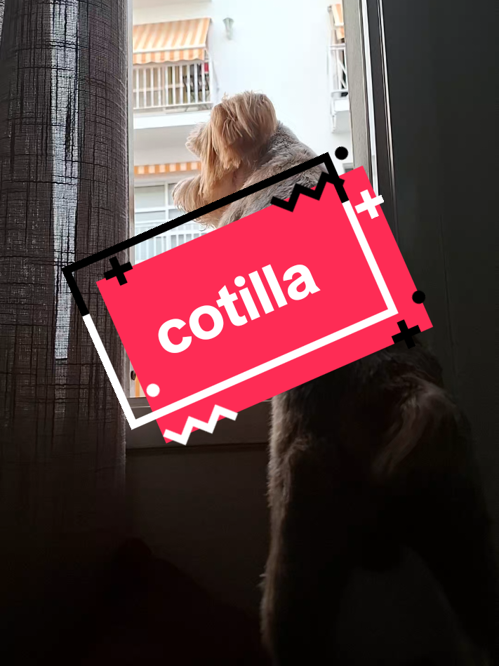 @Milu