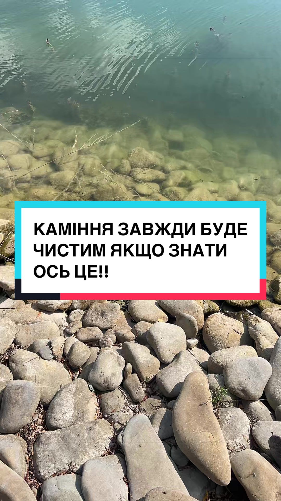 @laifhak_mozgi