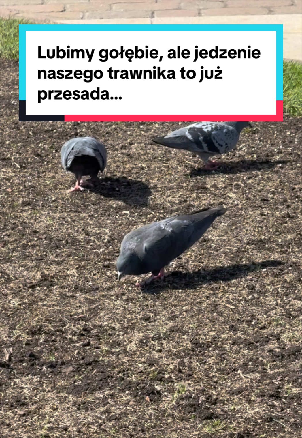 @Manufaktura, Ł&oacute;dź