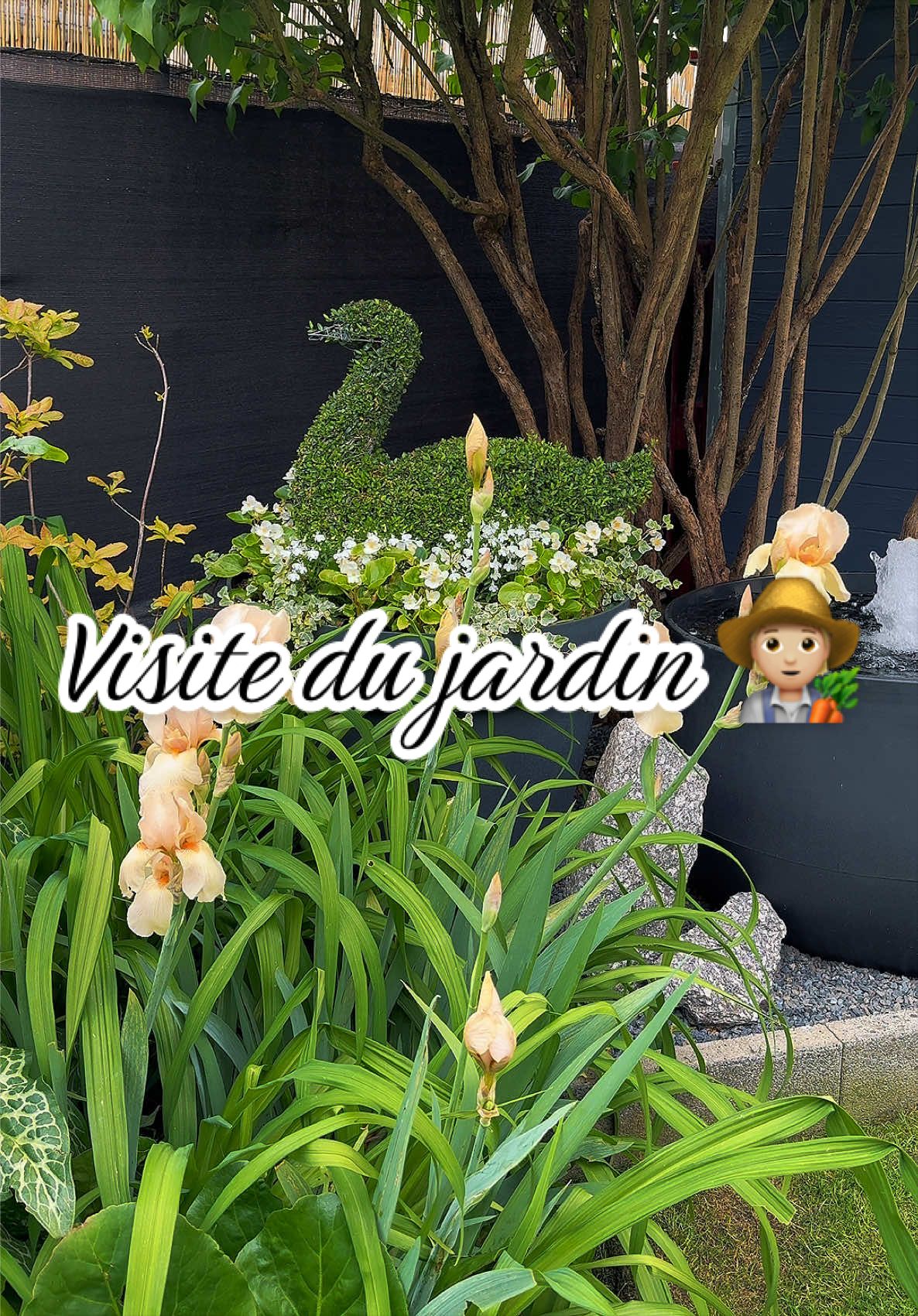 @Jardin de Rémi