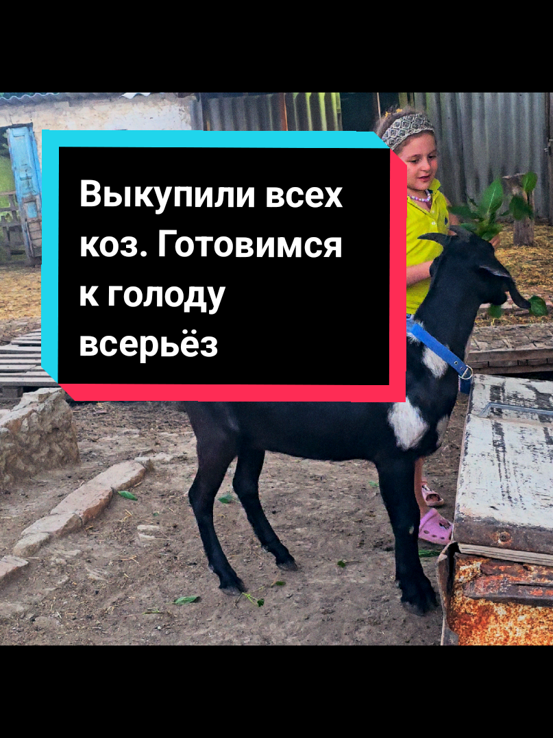 @Элита Германия